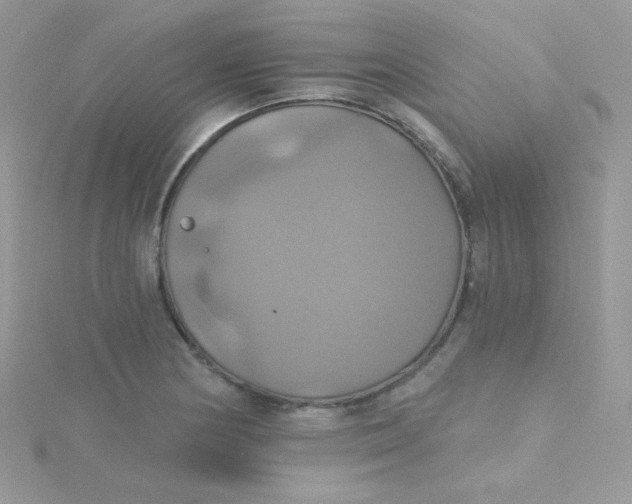 X0000115331178200911231405