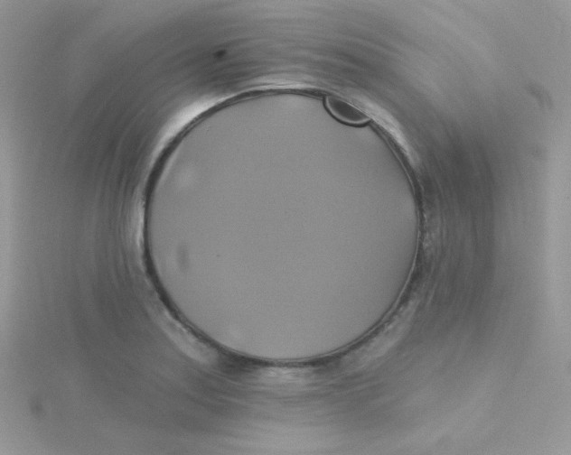 X0000115331179200911231405