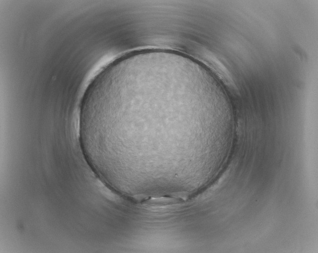 X0000115331180200911231405