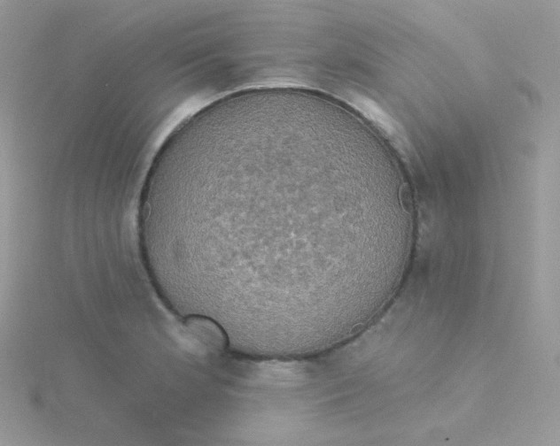 X0000115331181200911231405