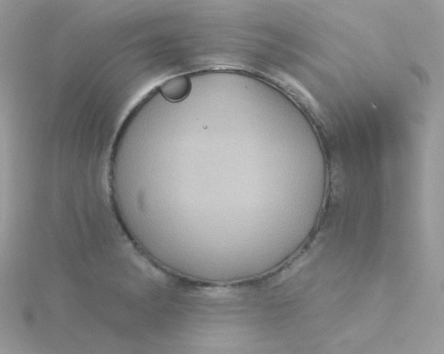 X0000115331182200911231405