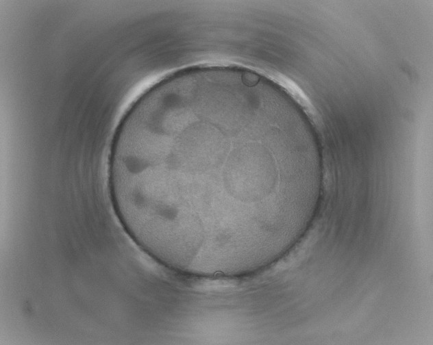 X0000115331183200911231405