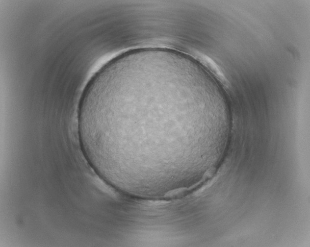 X0000115331184200911231405