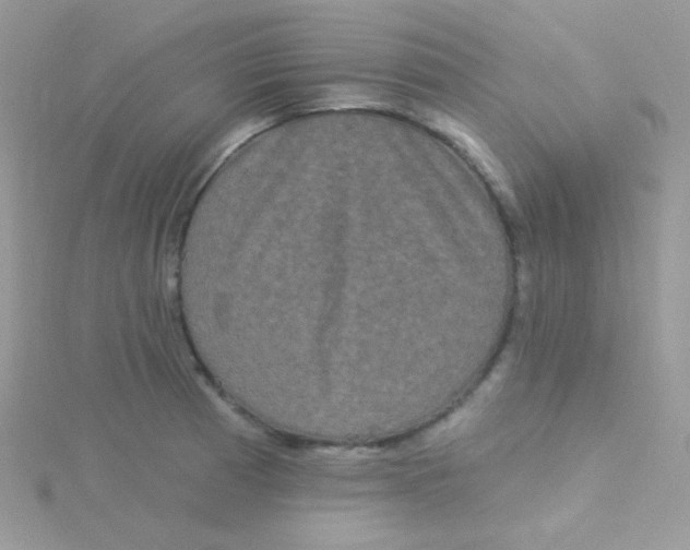 X0000115331185200911231405