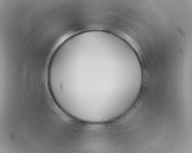 X0000115331187200911231405