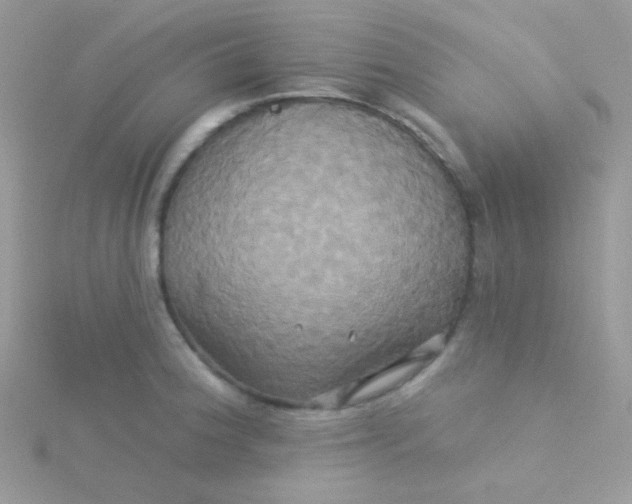 X0000115331188200911231405