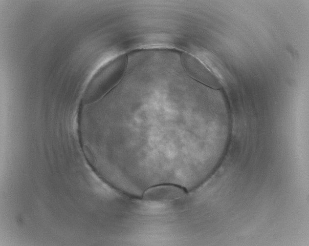 X0000115331189200911231405