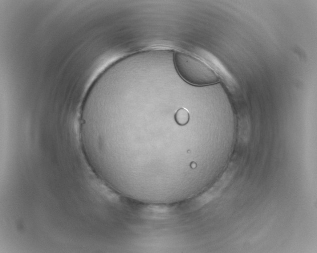 X0000115331190200911231405