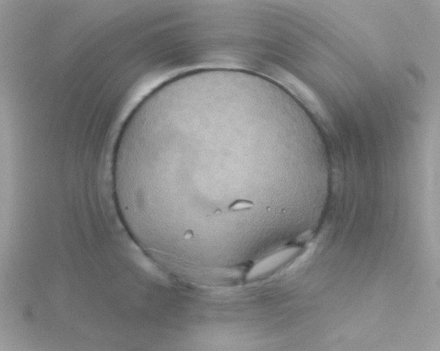 X0000115331192200911231405