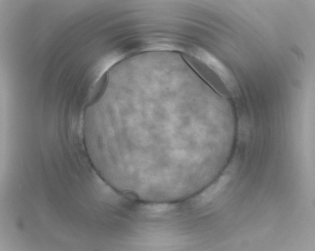 X0000115331193200911231405