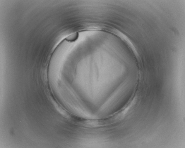 X0000115331194200911231405