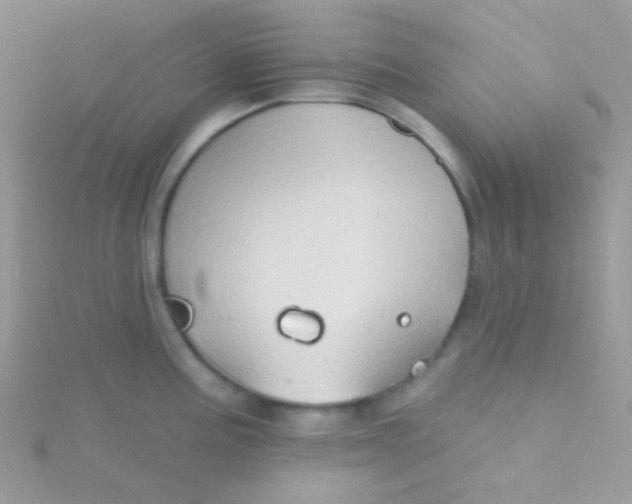 X0000115331195200911231405