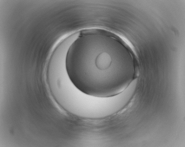 X0000115331197200911231405