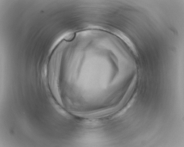 X0000115331198200911231405