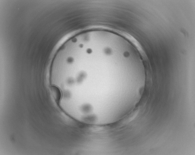 X0000115331199200911231405