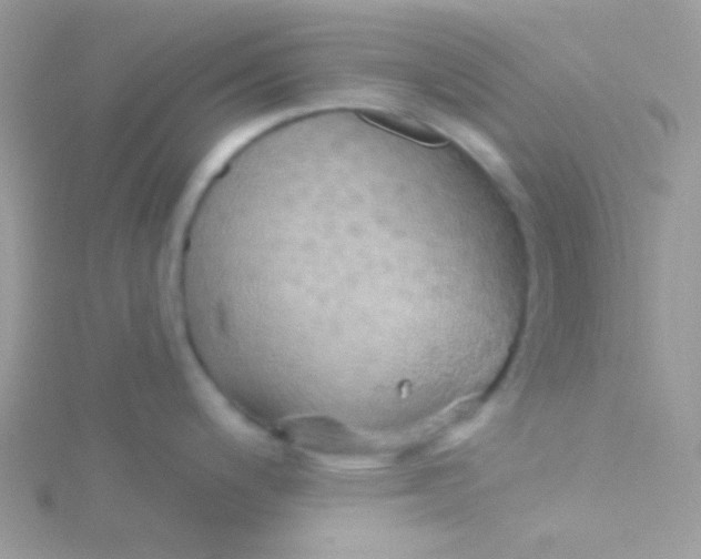 X0000115331200200911231405