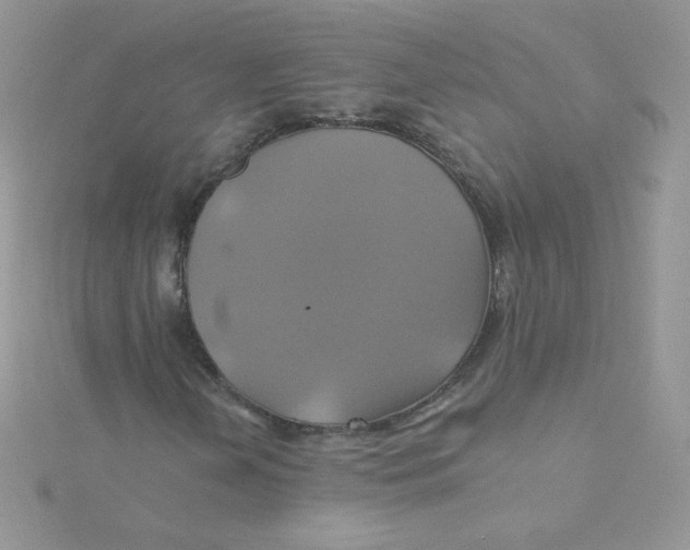 X0000115331202200911231405