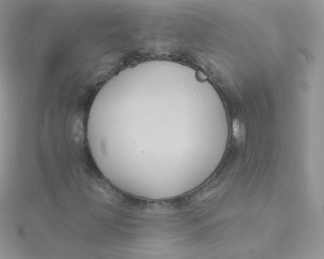 X0000115331203200911231405