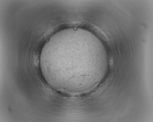 X0000115331204200911231405