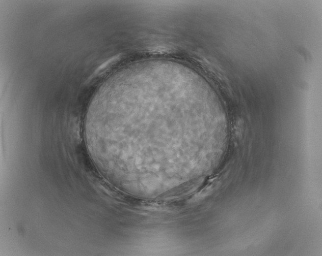 X0000115331205200911231405