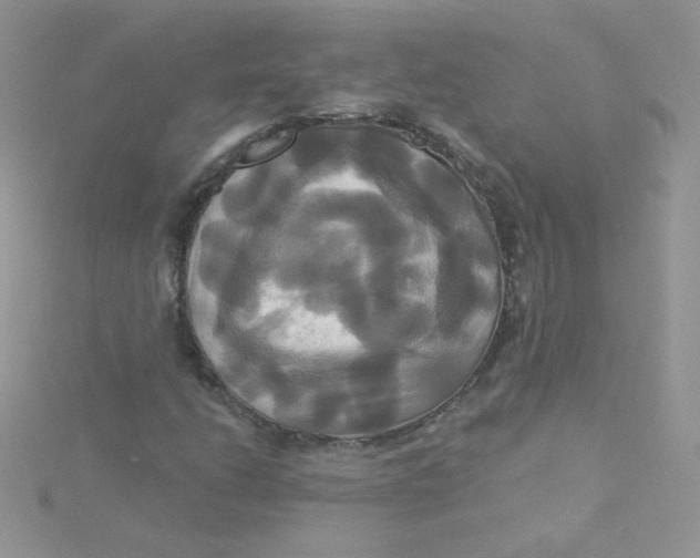 X0000115331206200911231405