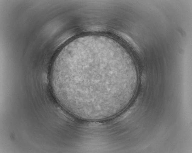 X0000115331209200911231405