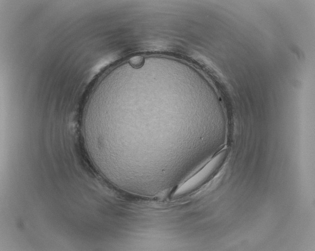 X0000115331210200911231405