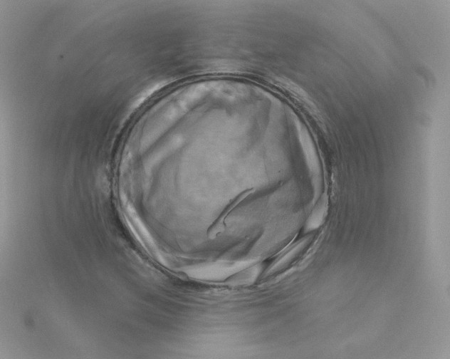 X0000115331212200911231405