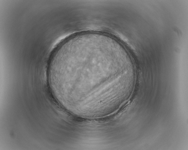 X0000115331214200911231405