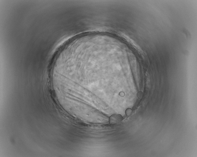 X0000115331215200911231405