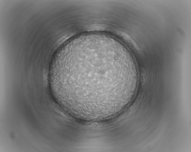 X0000115331217200911231405