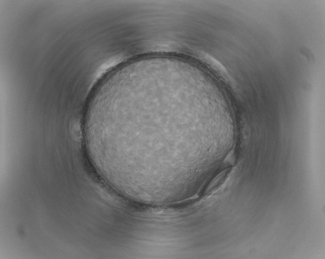 X0000115331218200911231405