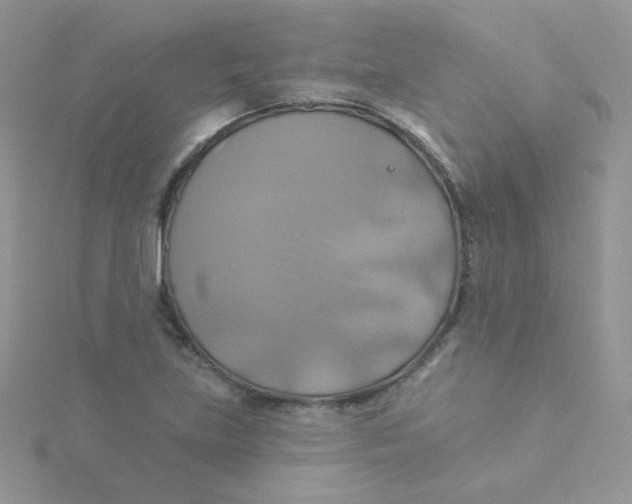 X0000115331219200911231405