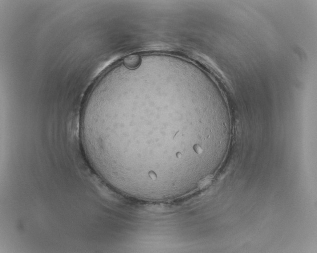 X0000115331220200911231405