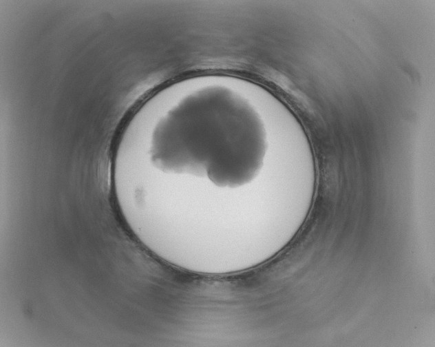 X0000115331221200911231405