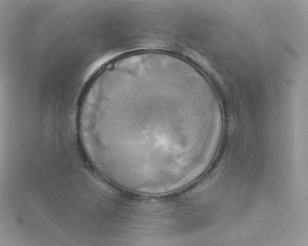 X0000115331222200911231405