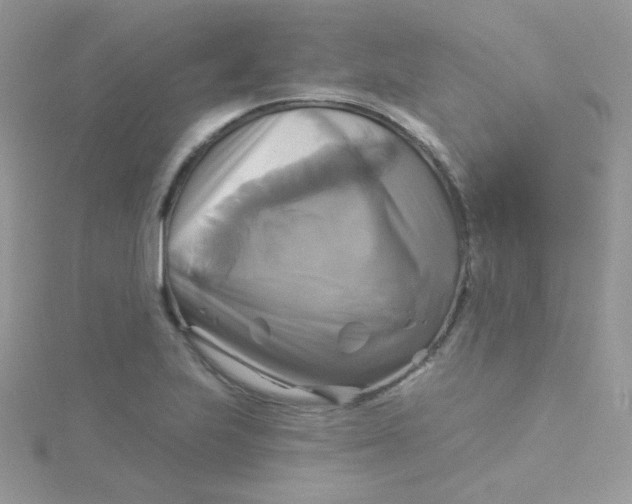 X0000115331223200911231405