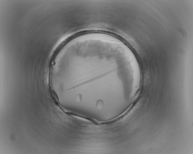 X0000115331224200911231405