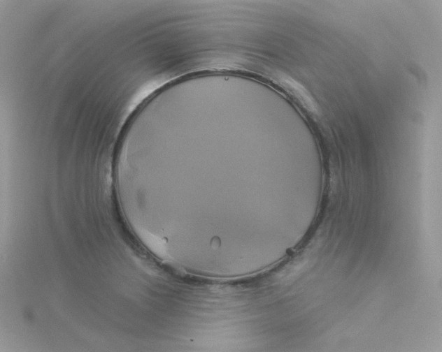 X0000115331226200911231405