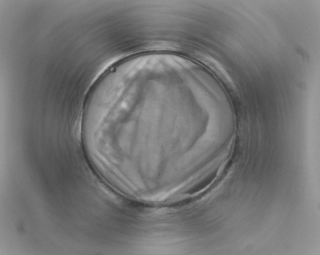 X0000115331228200911231405