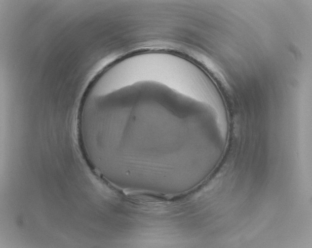 X0000115331229200911231405