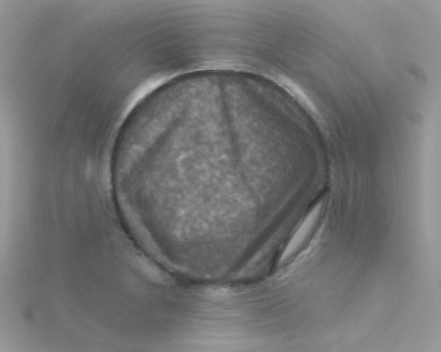 X0000115331230200911231405