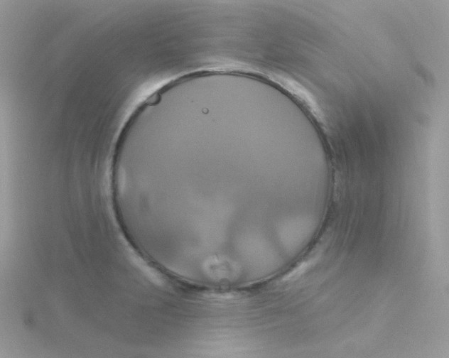 X0000115331231200911231405