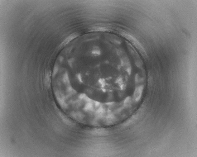 X0000115331233200911231405