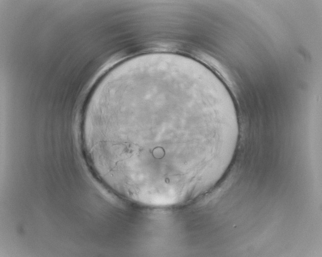 X0000115331235200911231405