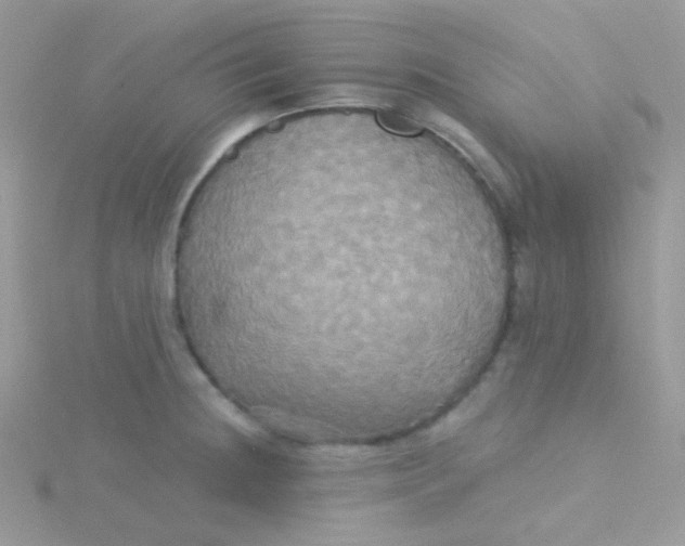 X0000115331236200911231405