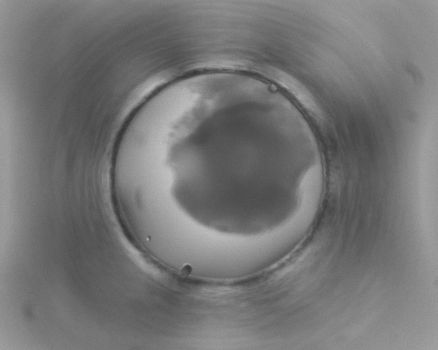 X0000115331237200911231405