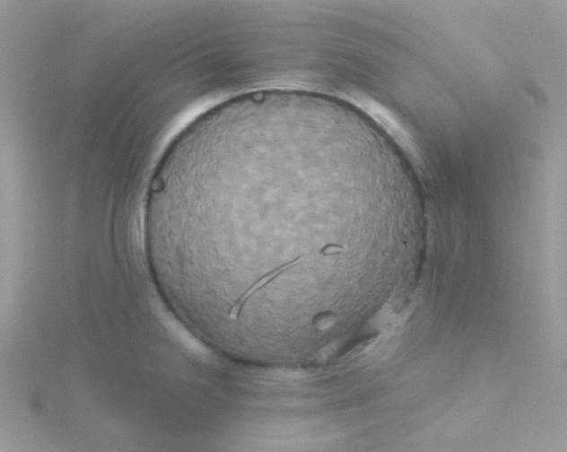 X0000115331238200911231405