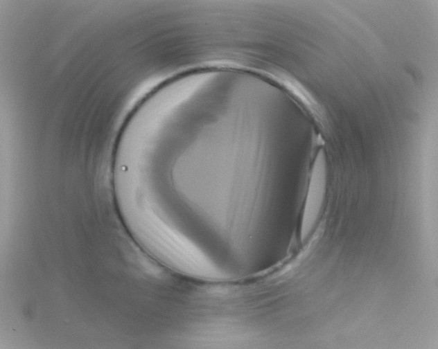 X0000115331240200911231405