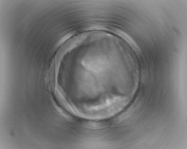 X0000115331241200911231405